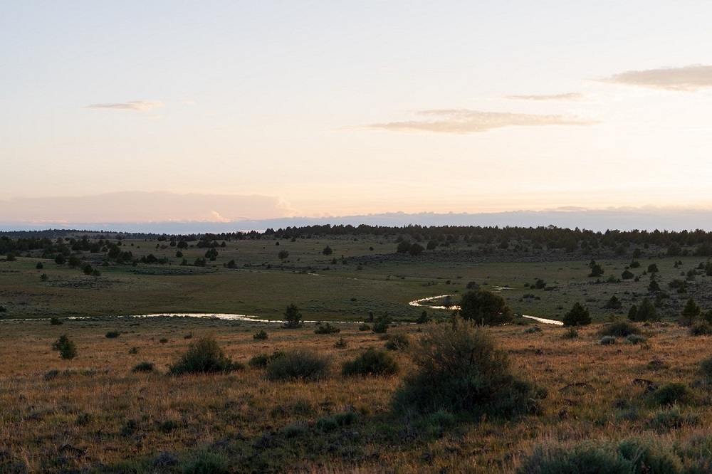 The beautiful desert landscape of Southeastern Oregon just outside of Steens Mountain around sunrise.